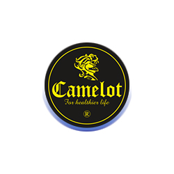 camelot-logo
